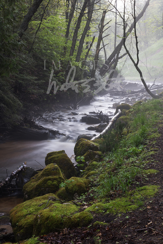 Cut River