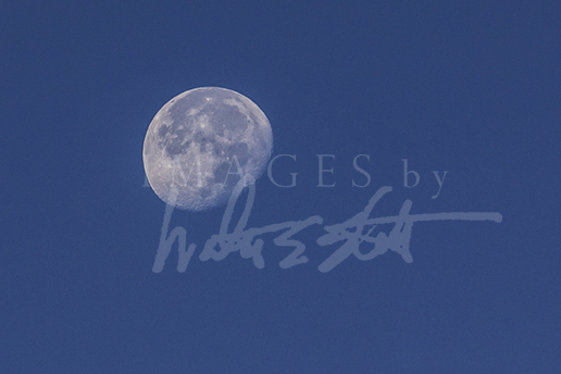 Blue Moon