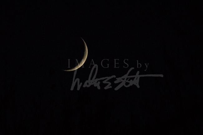 Goodnight Moon