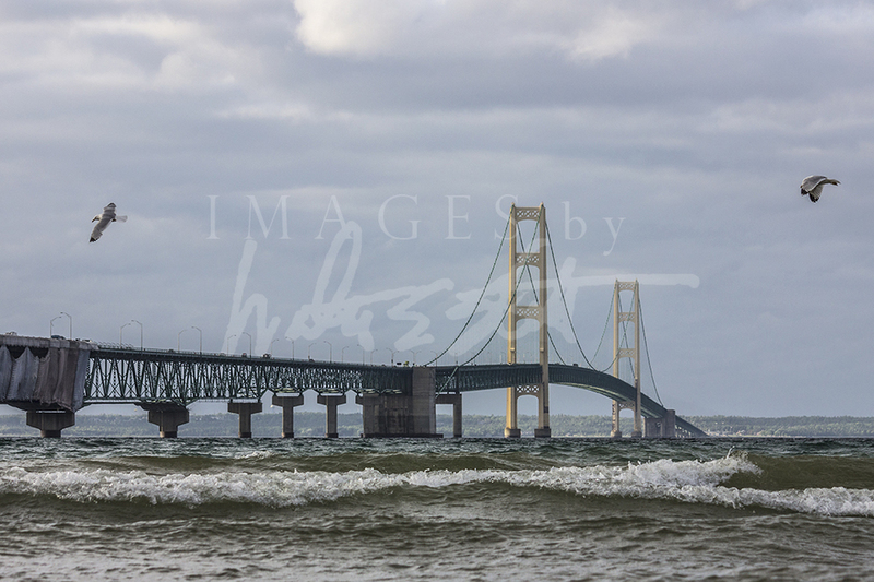 Mackinac Bridge &amp; Birds