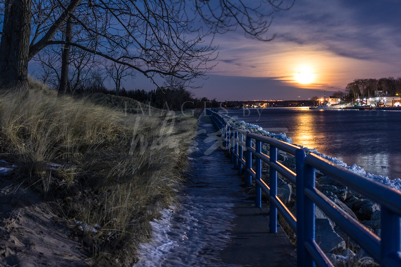 Moonlit Walk