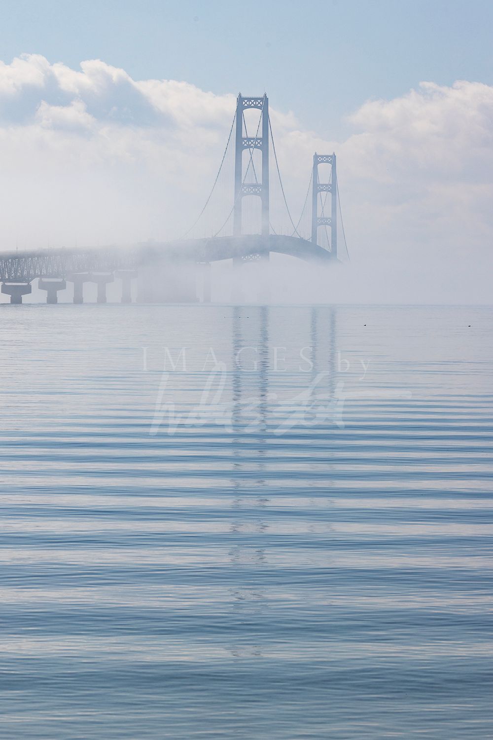 Standing In The Fog