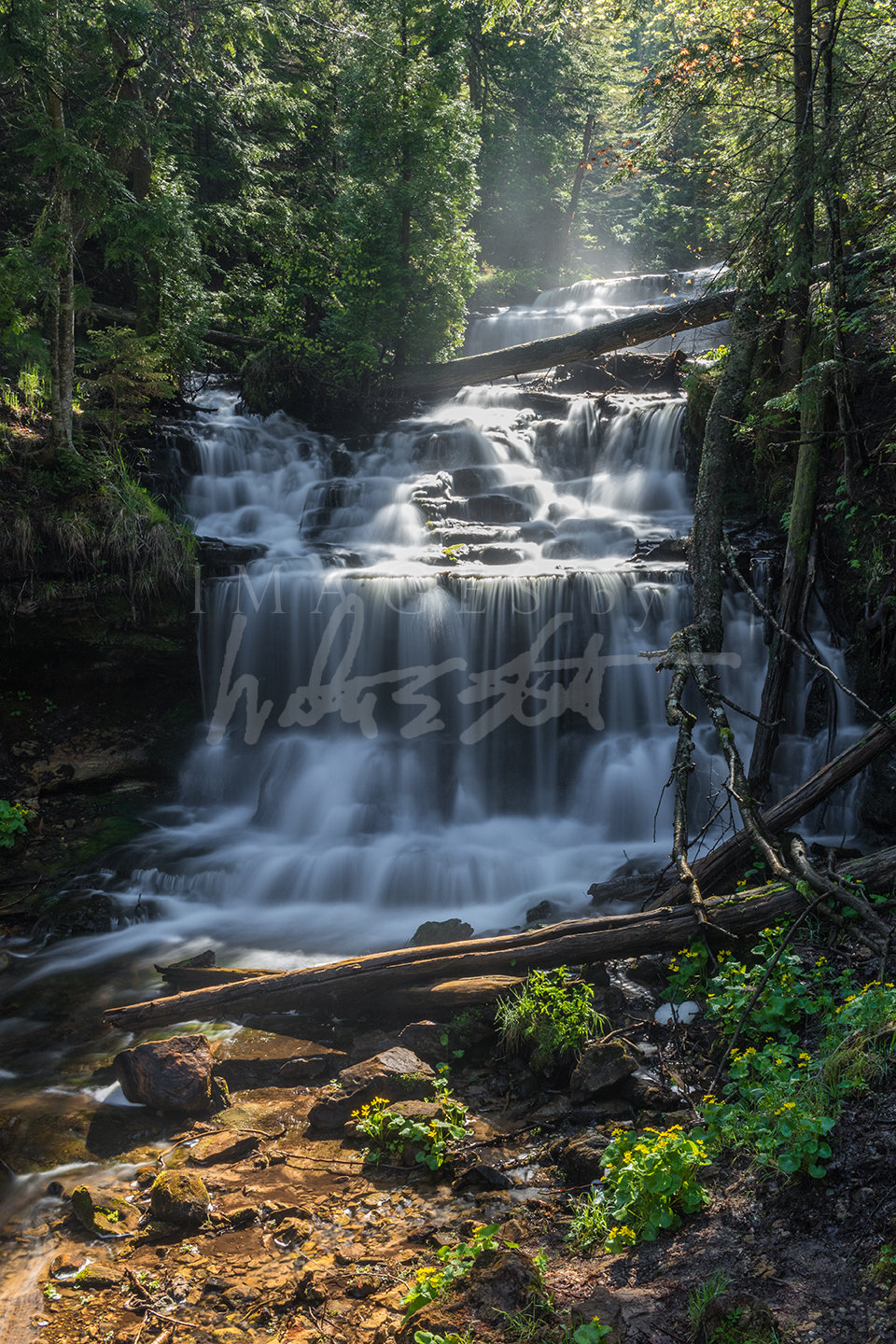 Sunny Morning at Wagner Falls