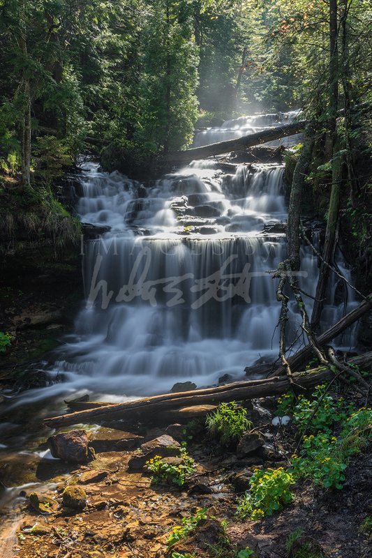 Sunny Morning at Wagner Falls