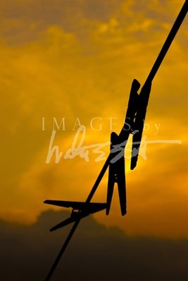 Miscellaneous Gallery