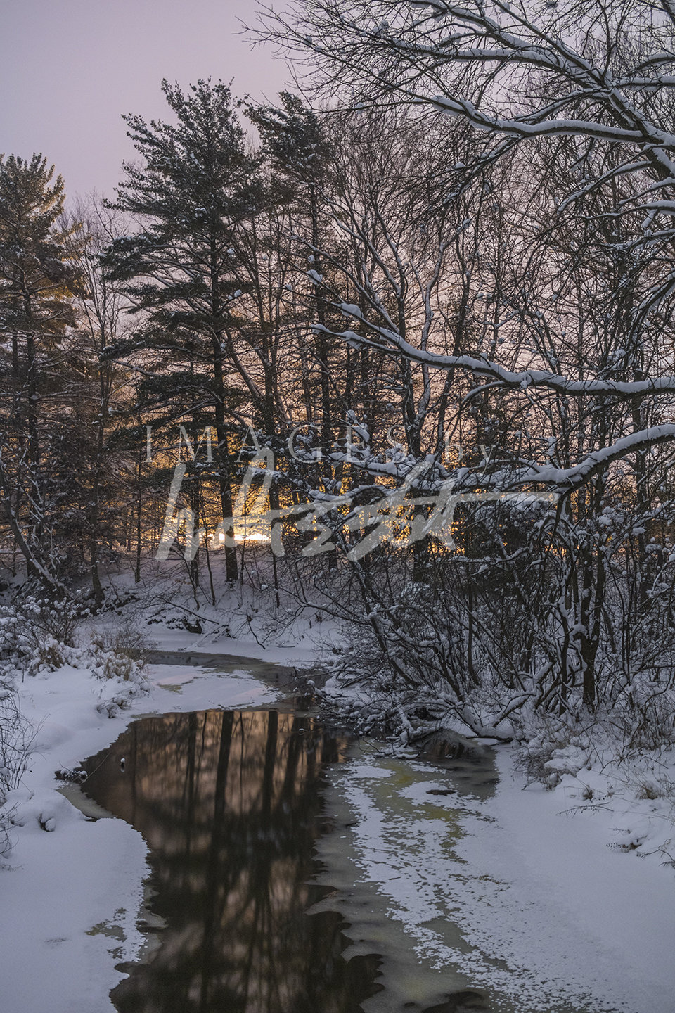 Reflections of Hemlock Crossing
