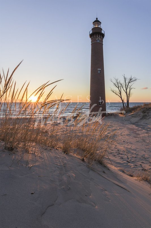 Beach Grass Sunset