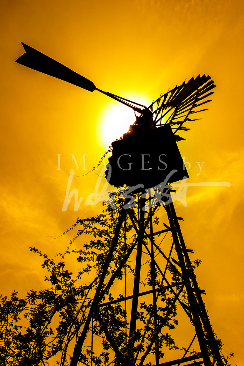 Windmill