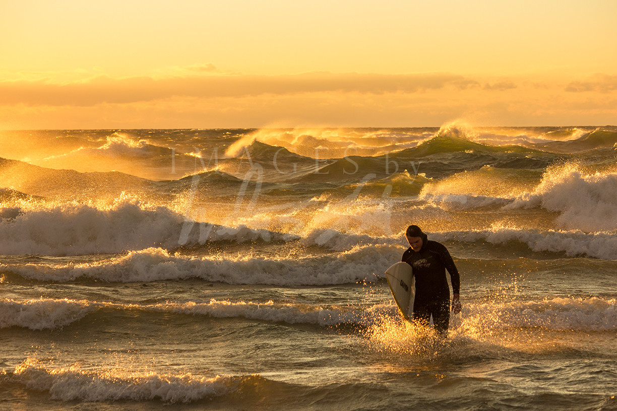 Golden Surf