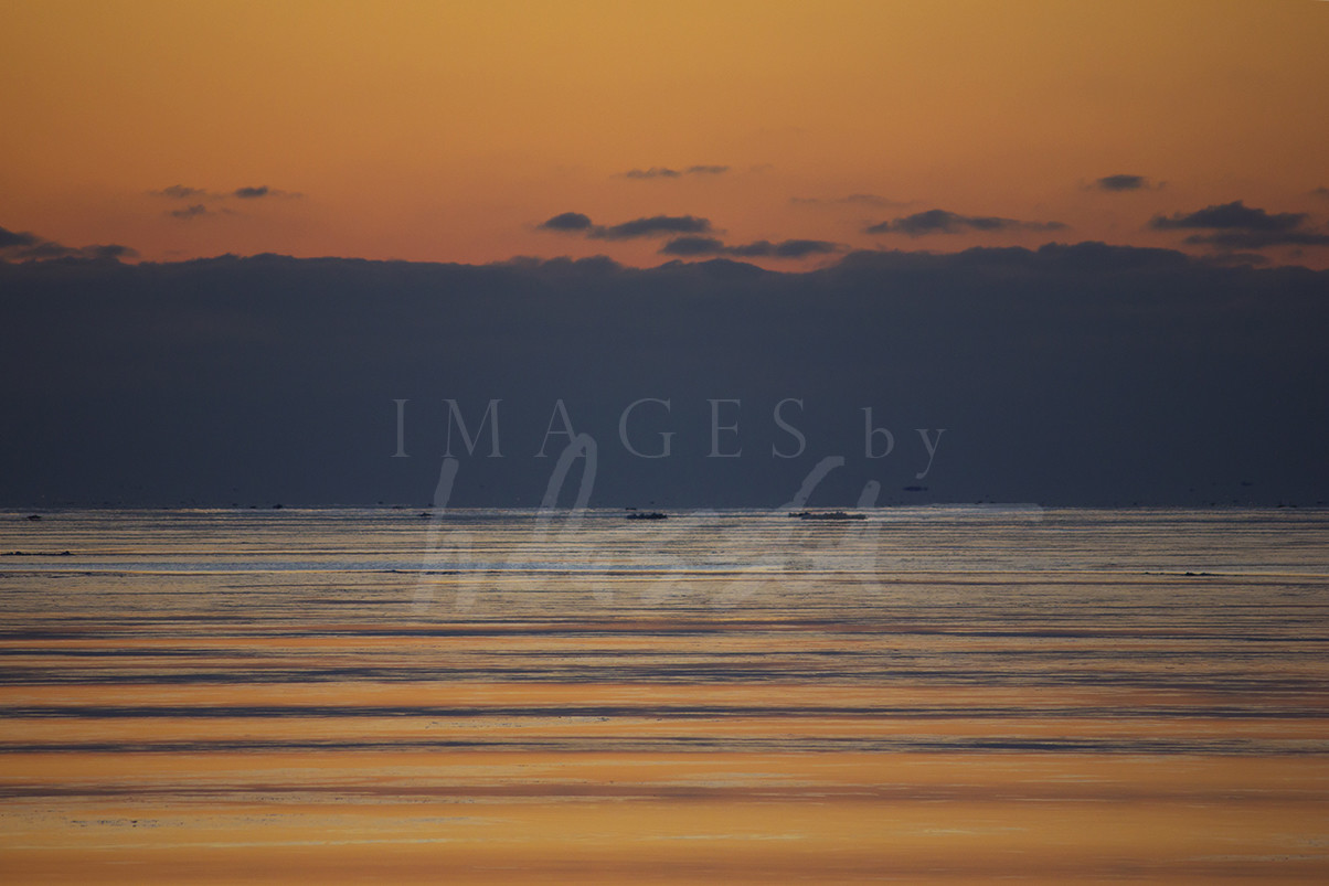Waves and Colors