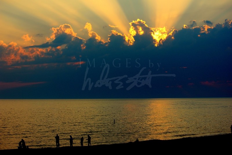 Rays and Waves
