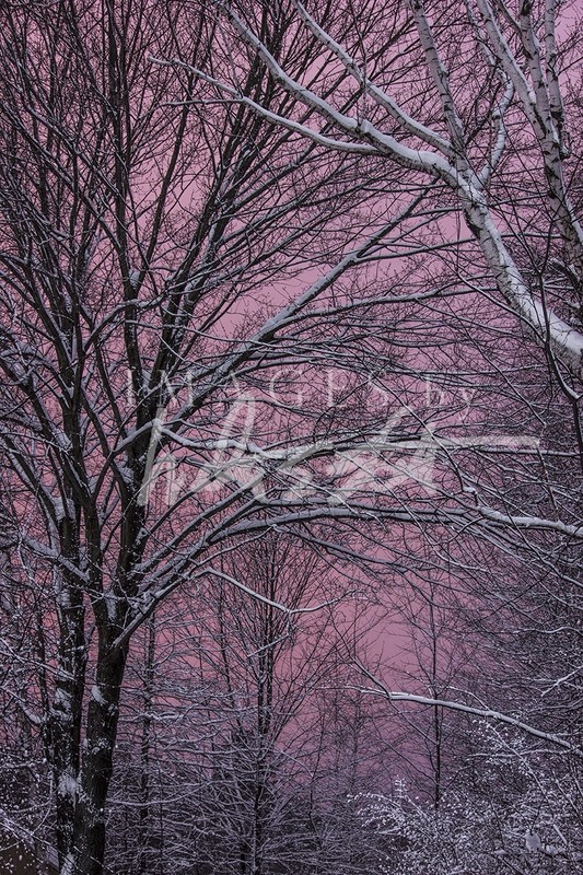 Valentine Sky