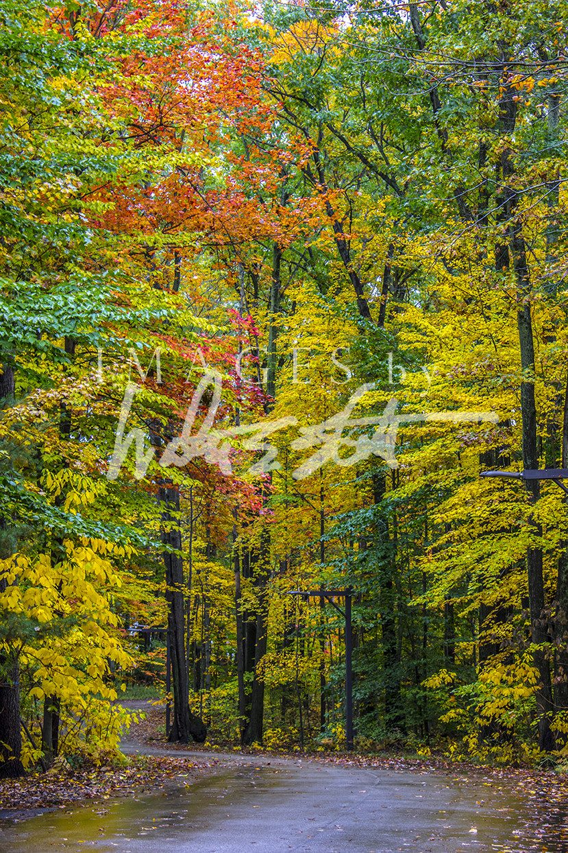 Path of Fall