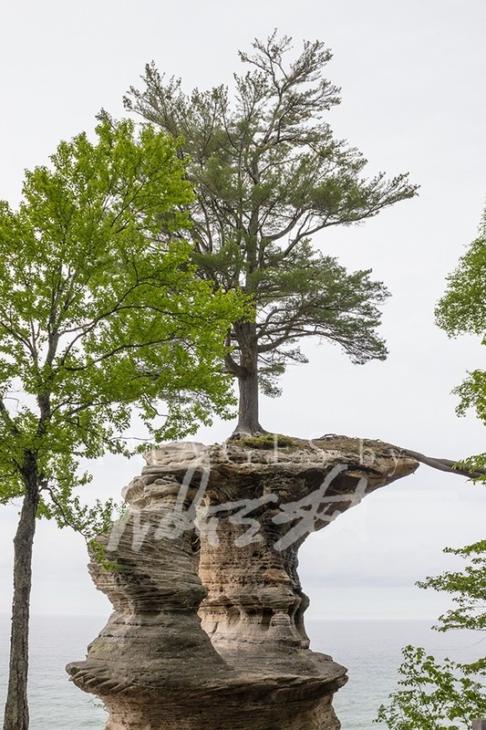 Chapel Rock