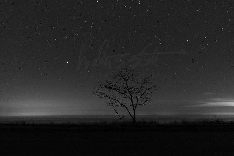 Pondering Tree