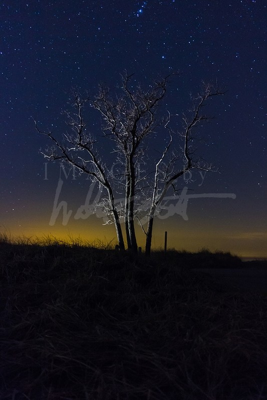 Night Watch