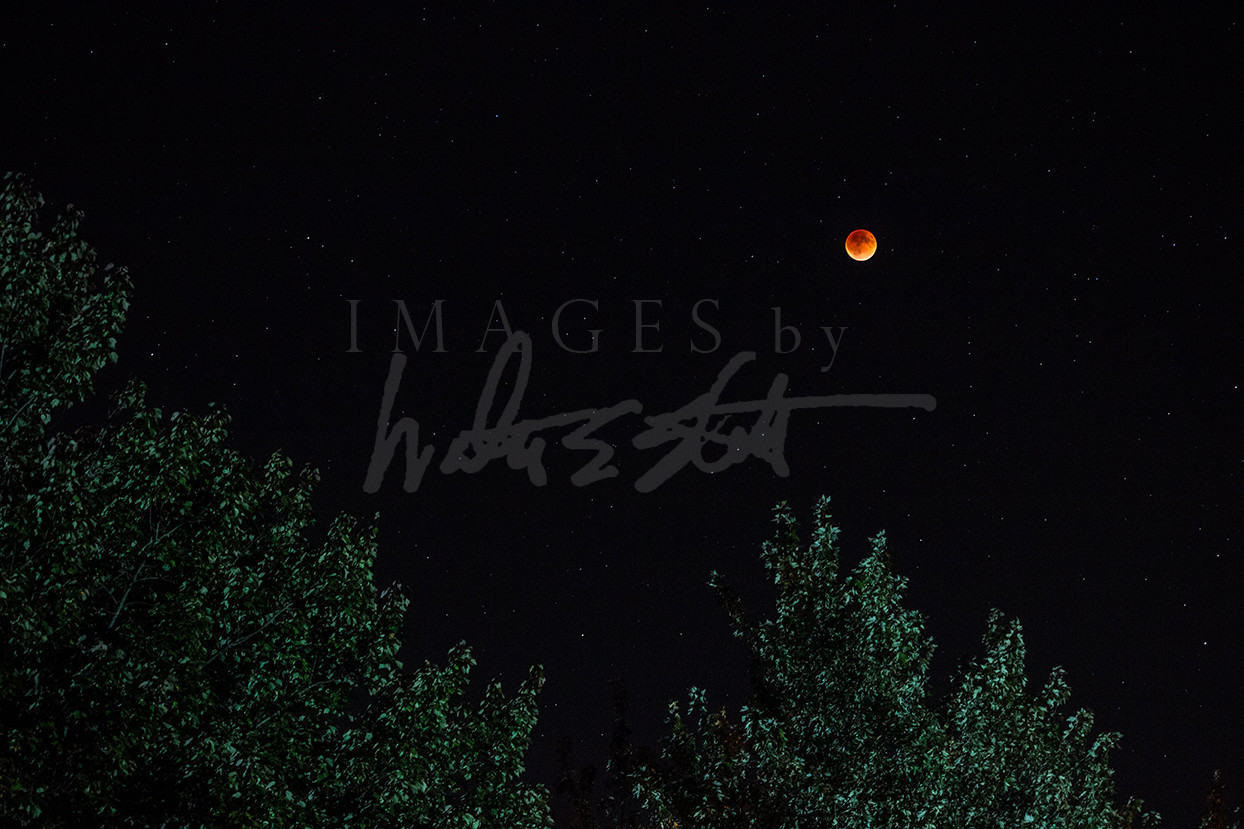 Distant Lunar Eclipse