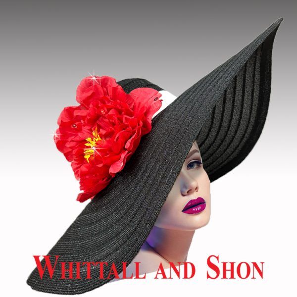 Whittall &amp; Shon The Wave Derby