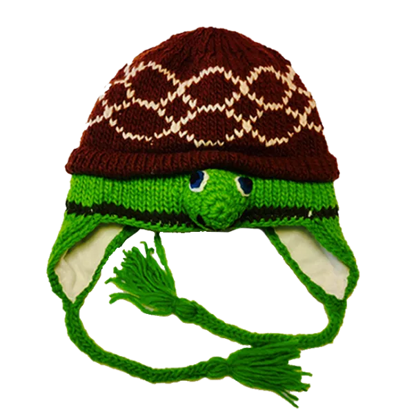 Arts of Ecuador Turtle
