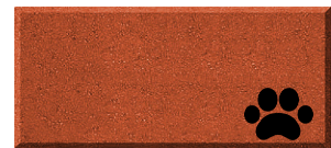 4x8 Brick w/Paw