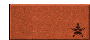 4x8 Brick w/Star