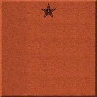 8x8 Brick w/Star