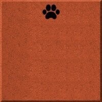8x8 Brick w/Paw