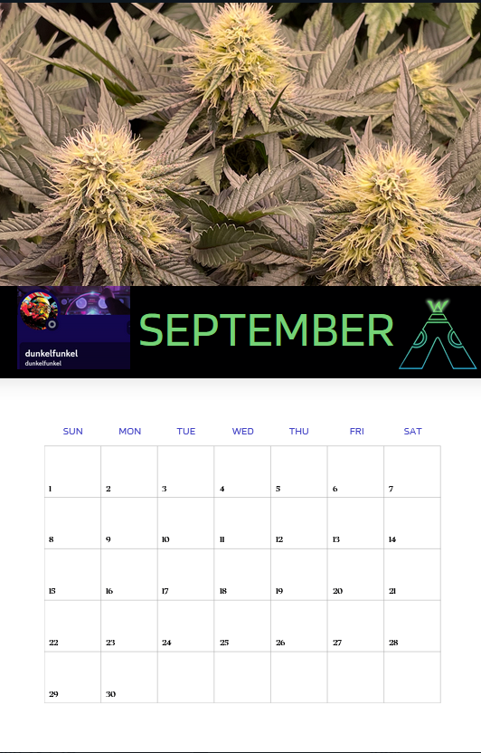 2024 Walipini Calendar + Seed Pack