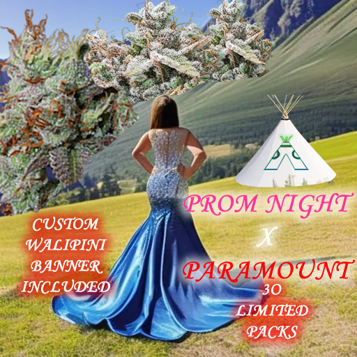 ONLY 30 LIMITED HAND SIGNED PACKS Prom Night x Paramount Feminized Photoperiod x10 SEEDS &amp; WALIPINI BANNER!