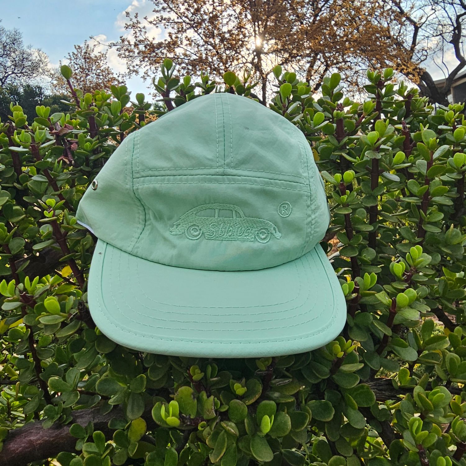 5 Panel Cap