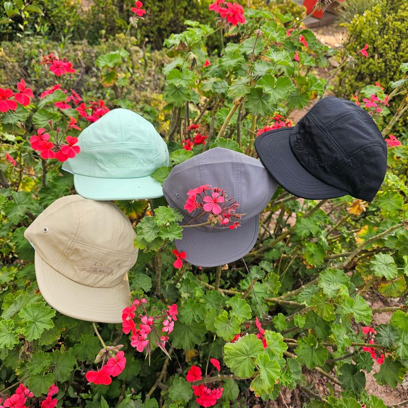 5 Panel Cap