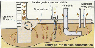 Anti Termite Treatment Method Statement