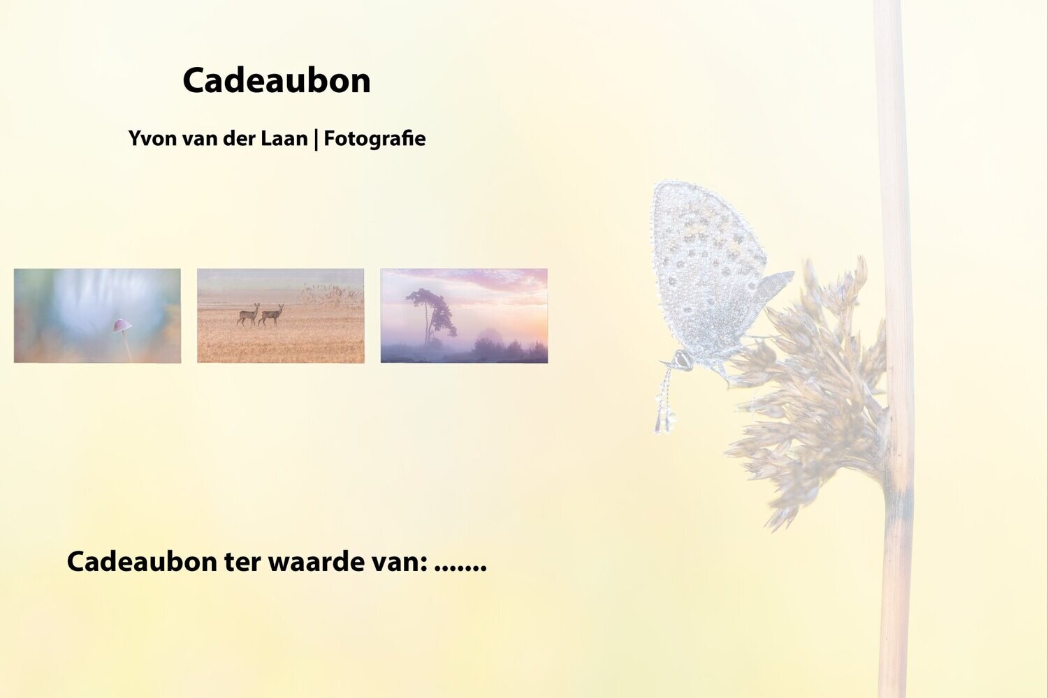 Cadeaubon