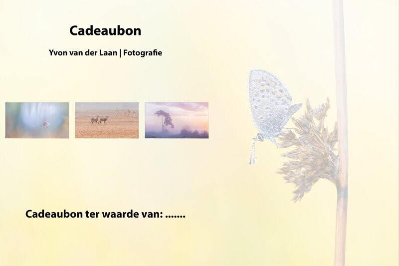 Cadeaubon
