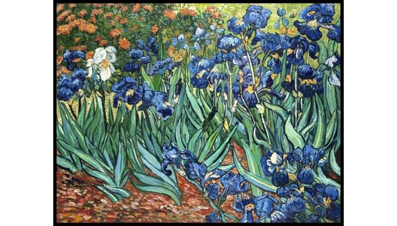Irises