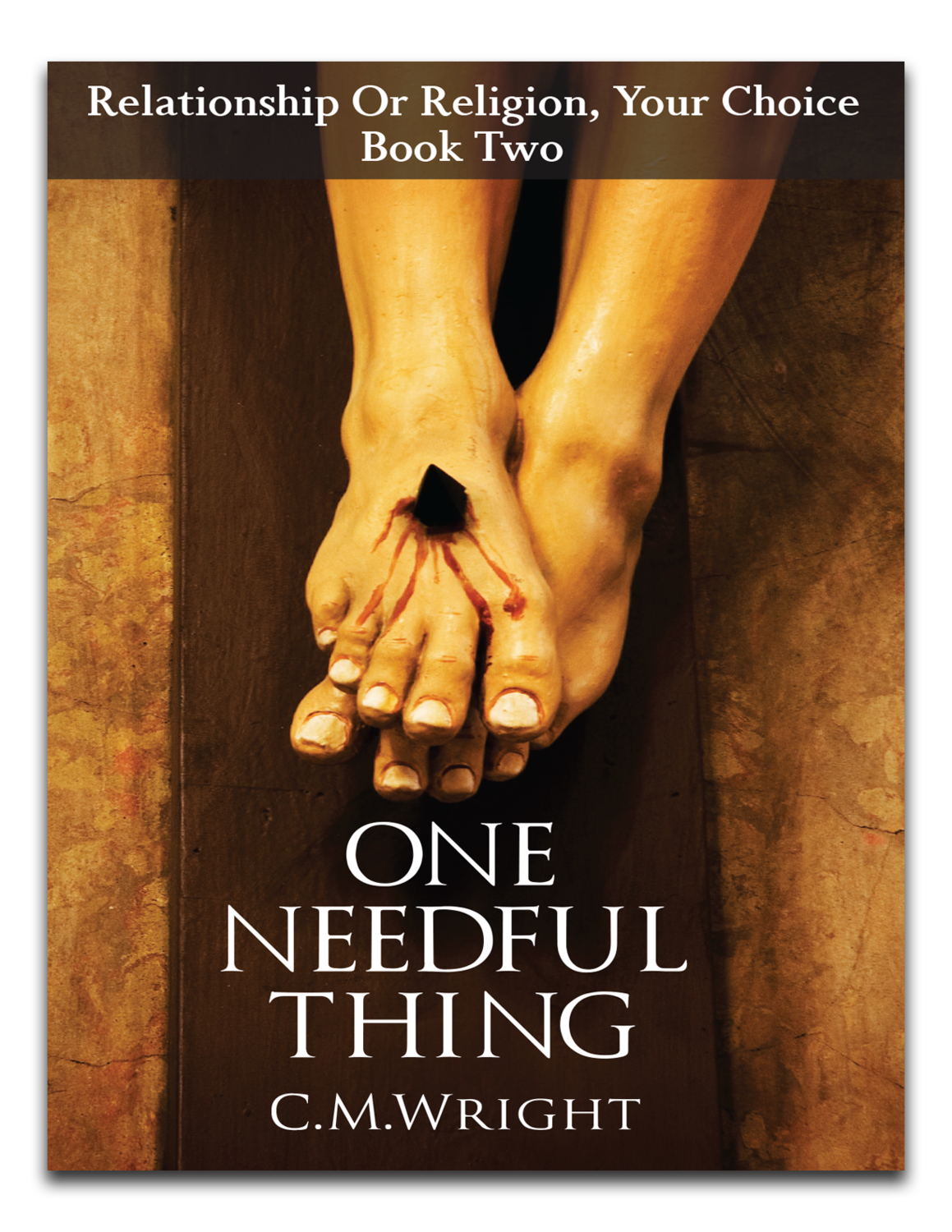 One Needful Thing by C.M. Wright