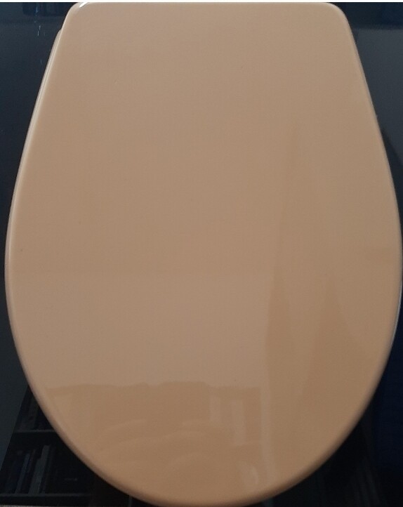 SEDILE COPRIWATER LEGNO POLIESTERE MOD. RENOVA KERAMAG COLORE WHISKY-CERNIERE IN OTTONE CROMATO-