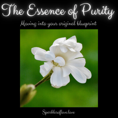 The Essence of Purity, Moving into your original blueprint