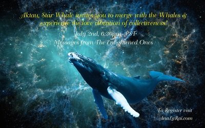 Aktau, Star Whale, Experience the Collective Energies of Whales!