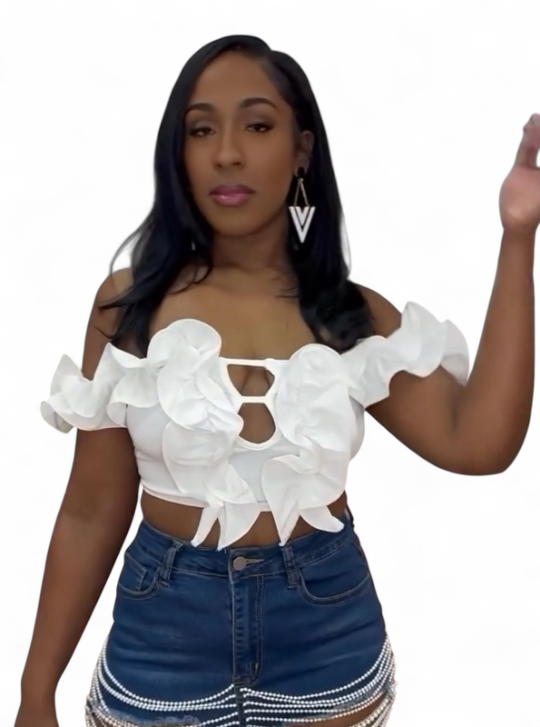 Organza Crop Top