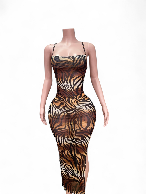 Safaree Maxi Dress- Sheer
