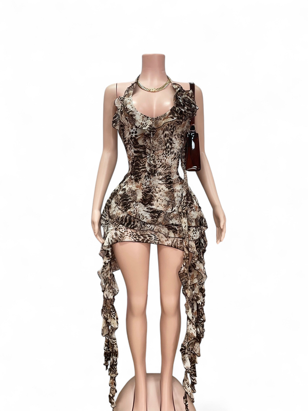 Ruffles And Roses Mini Dress