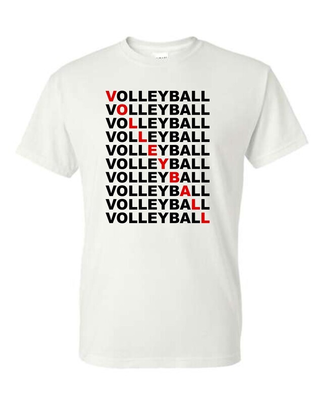 VOLLEYBALL *Multiple Styles