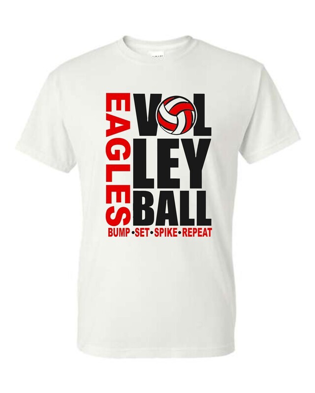 VOLLEYBALL *Multiple Styles
