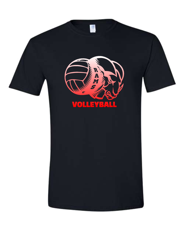Montrose-Volleyball