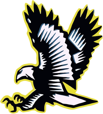 Lakeville Falcons