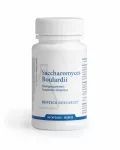 Saccharomyces Boulardii - 60 cps