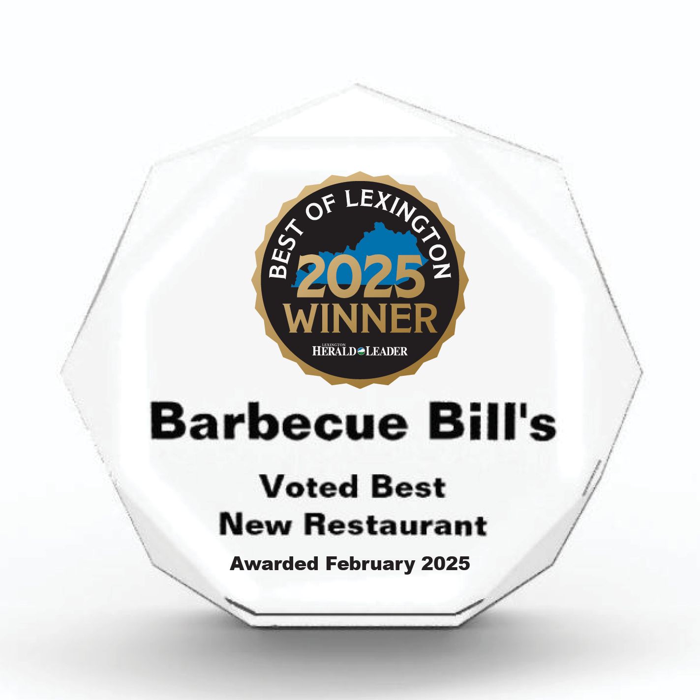 Acrylic Winner's Award - Opaque Octagon