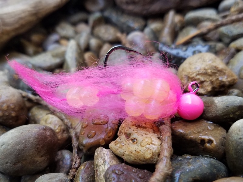#EJ27 (Hot Pink Roe)
