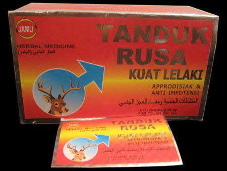 Tanduk Rusa